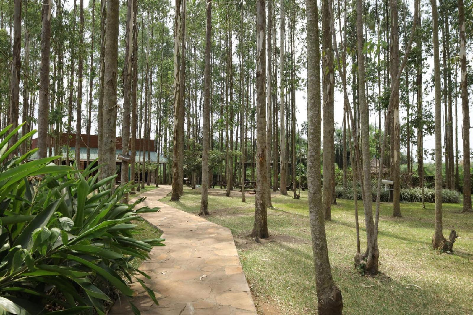Kabalega Resort - Masindi Eksteriør bilde